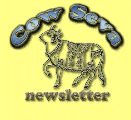 Cow Seva Newsletter