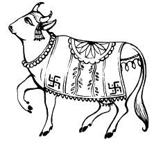 Cow - line drawing